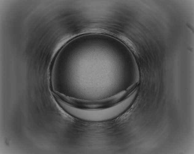 X0000091711430200709071402