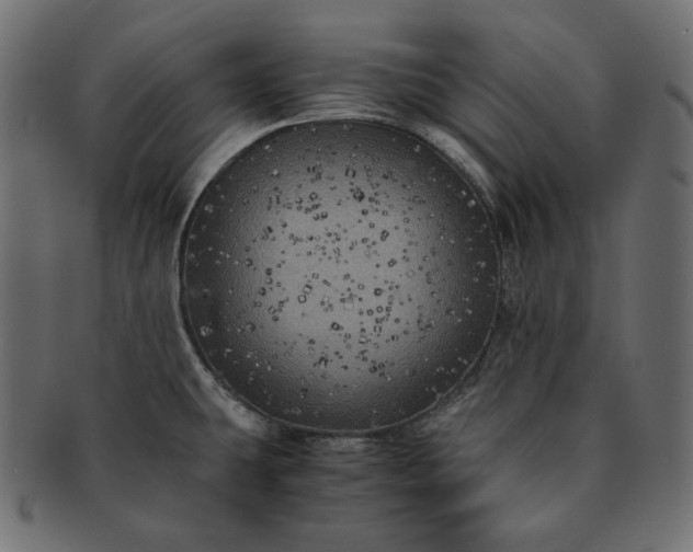 X0000091711431200709071402