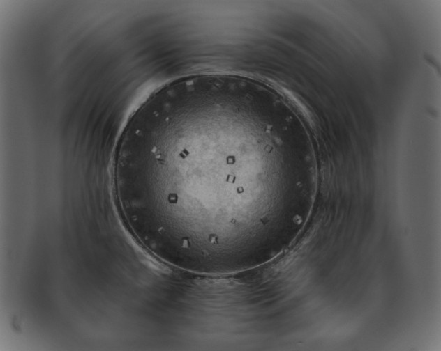 X0000091711432200709071402