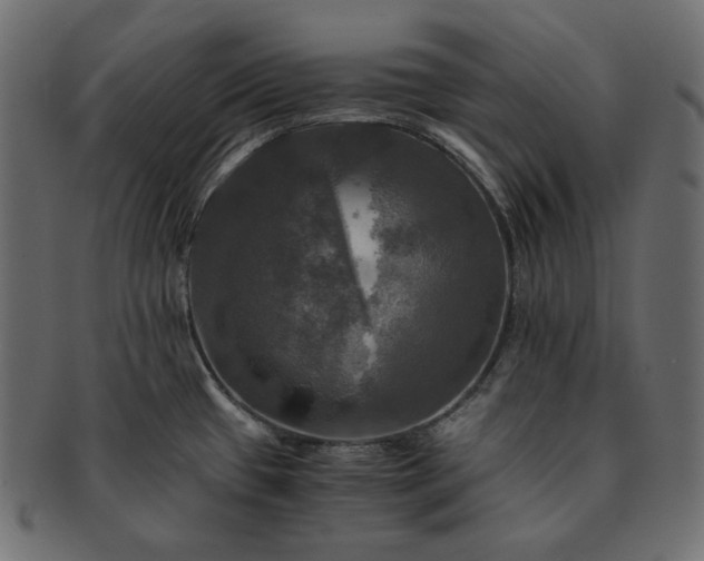 X0000091711433200709071402