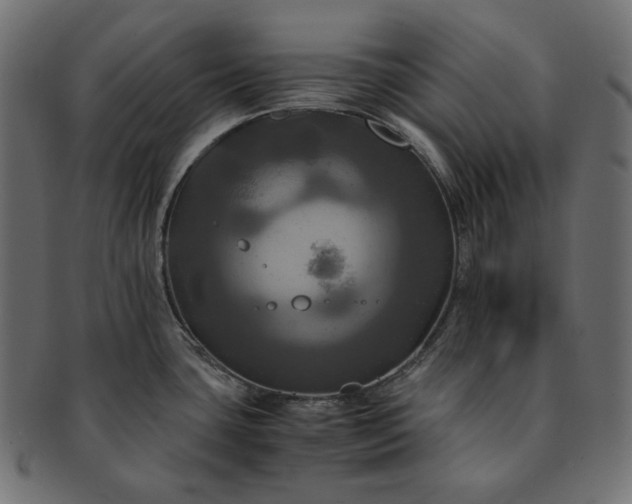 X0000091711435200709071402