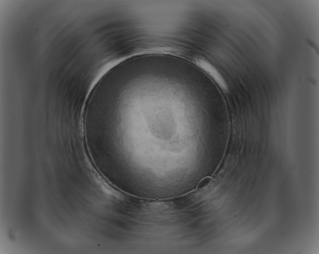 X0000091711436200709071402