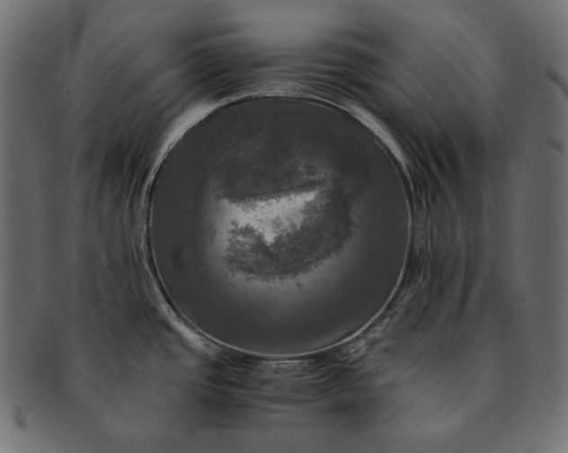 X0000091711437200709071402