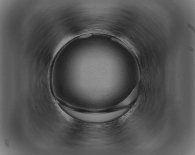 X0000091711438200709071402