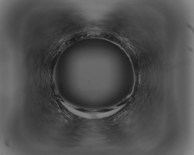 X0000091711445200709071401