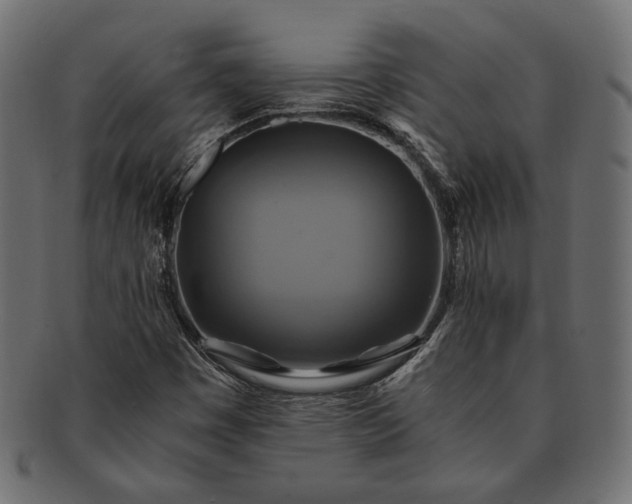 X0000091711449200709071401