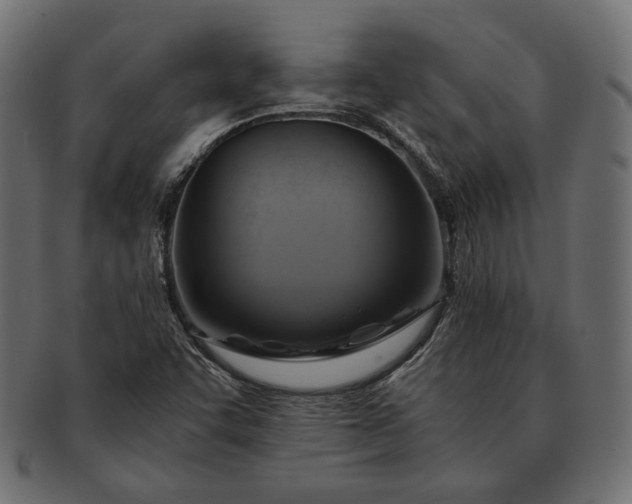 X0000091711455200709071401