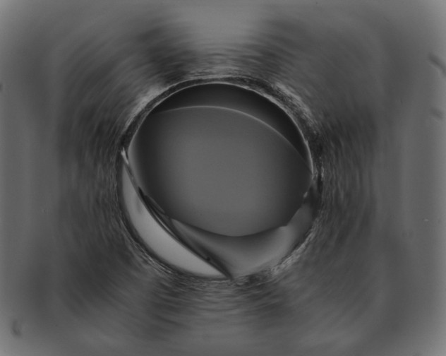 X0000091711457200709071401