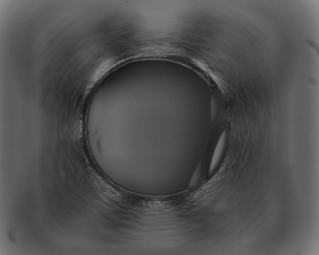 X0000091711459200709071401