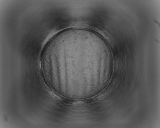 X0000091711462200709071401