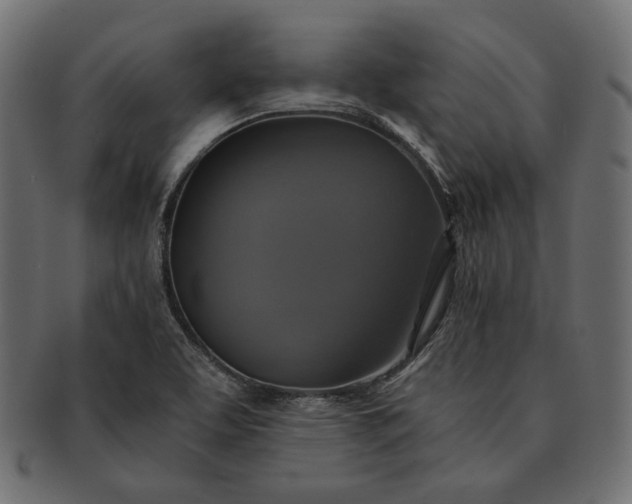 X0000091711463200709071401