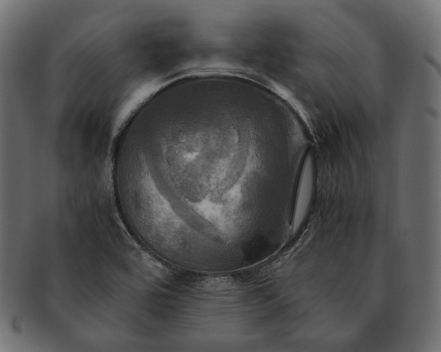 X0000091711464200709071401