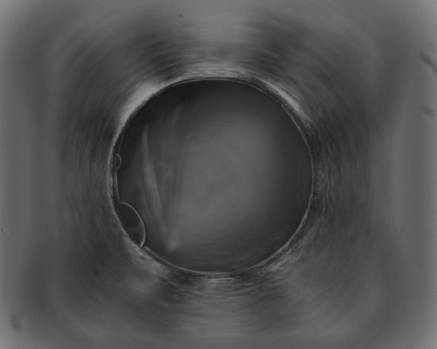 X0000091711471200709071401