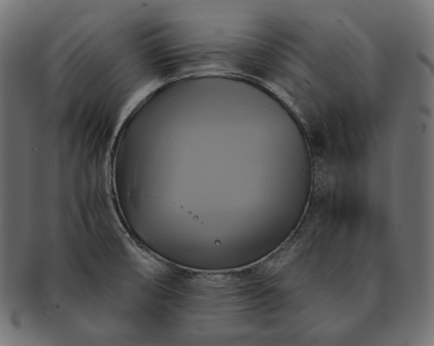 X0000091711474200709071401