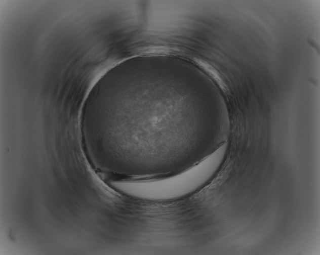 X0000091711475200709071401