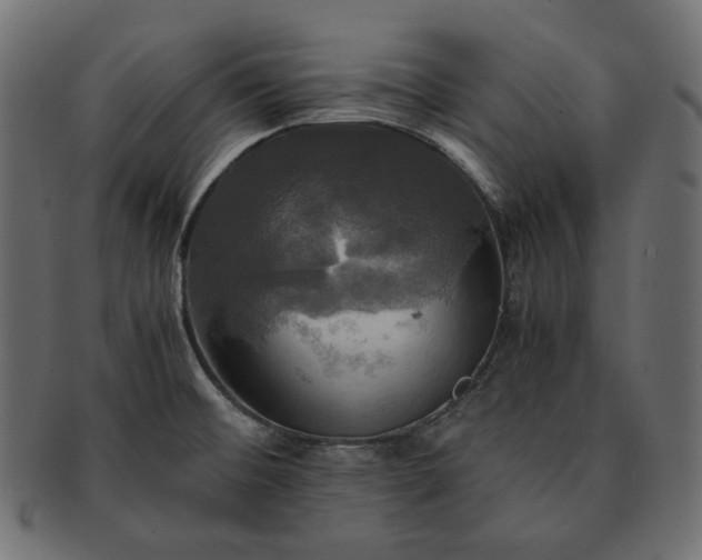 X0000091711476200709071401