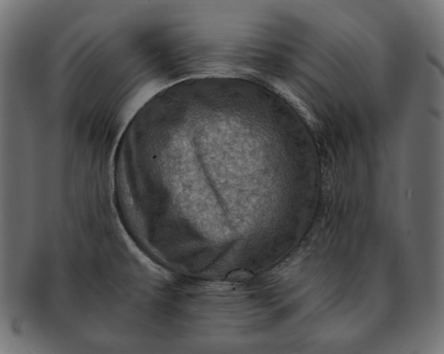 X0000091711479200709071401