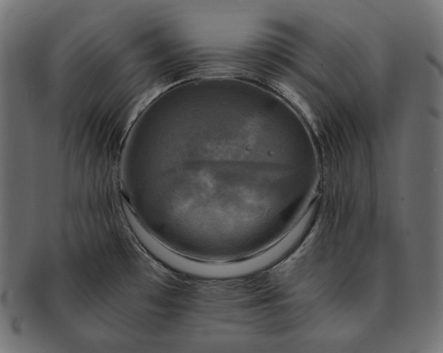 X0000091711481200709071401