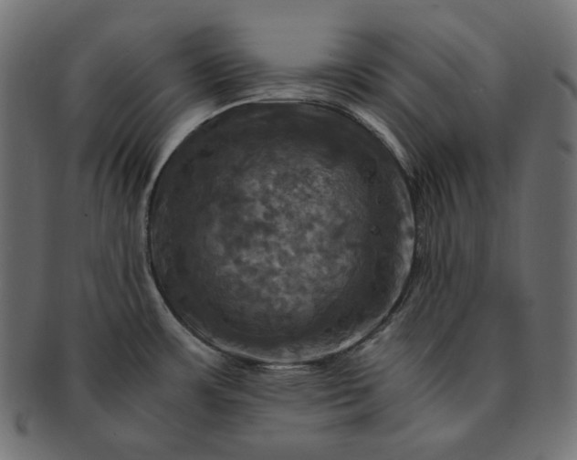 X0000091711483200709071401