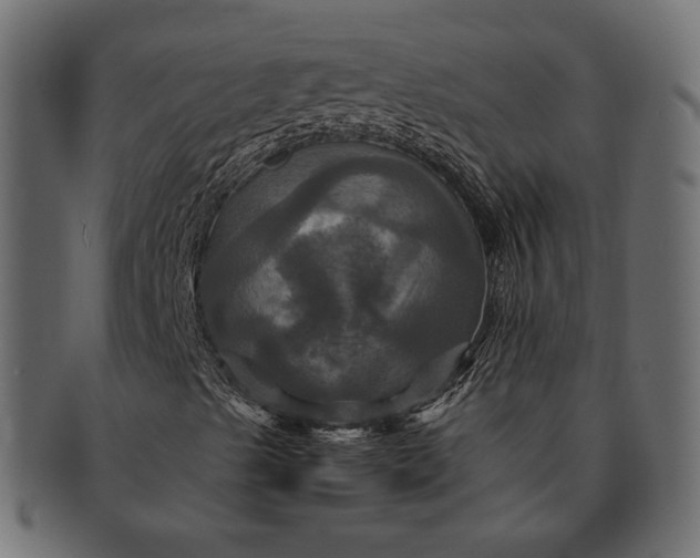 X0000091711489200709071400