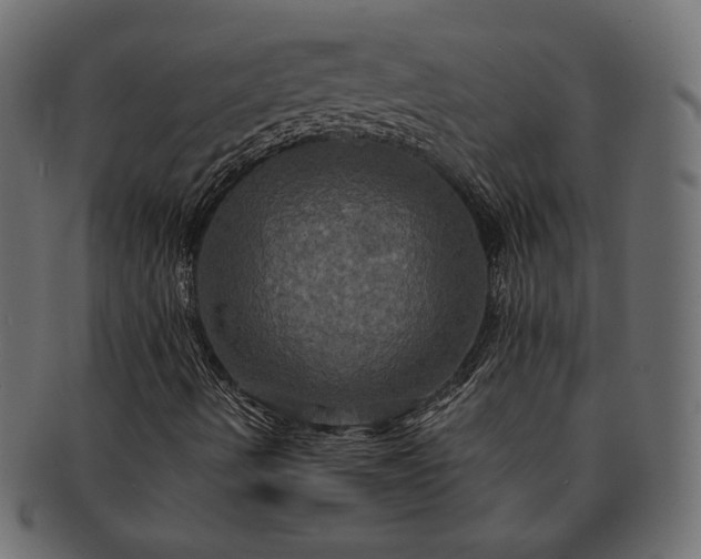 X0000091711490200709071400