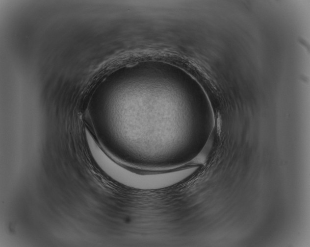 X0000091711492200709071400