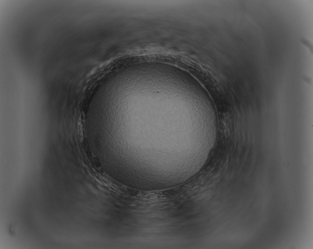 X0000091711493200709071400