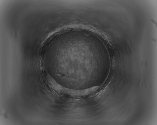 X0000091711494200709071400