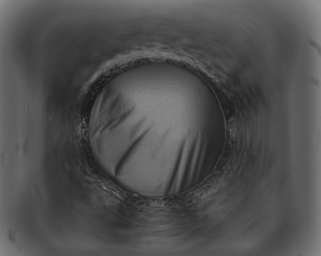 X0000091711495200709071400