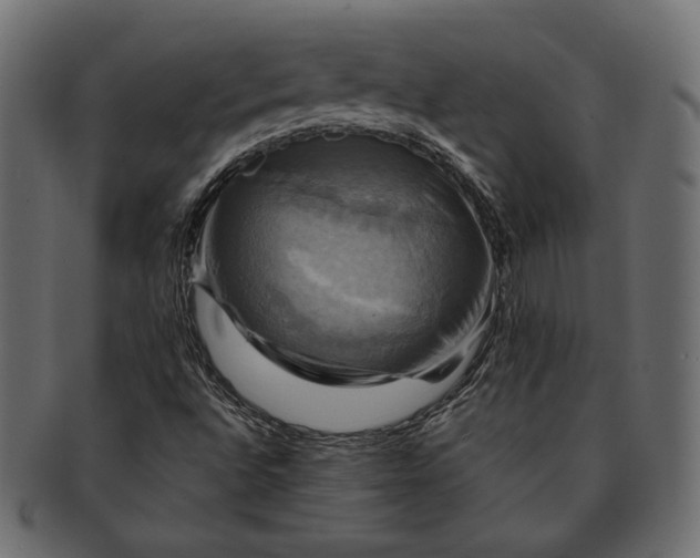 X0000091711496200709071400