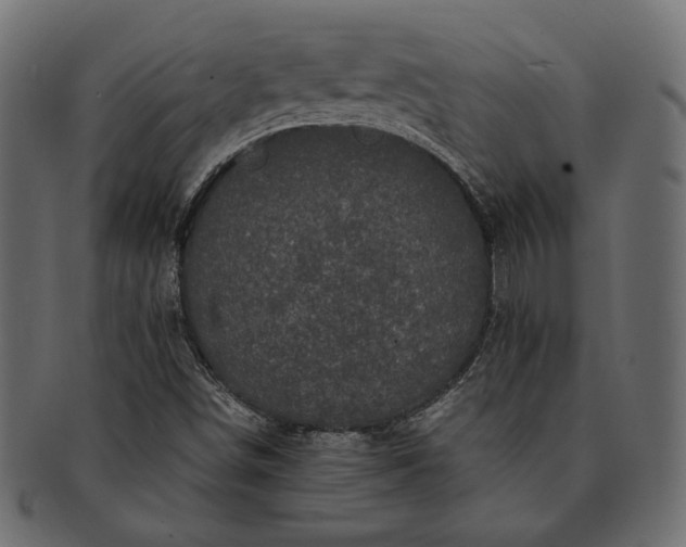 X0000091711498200709071400