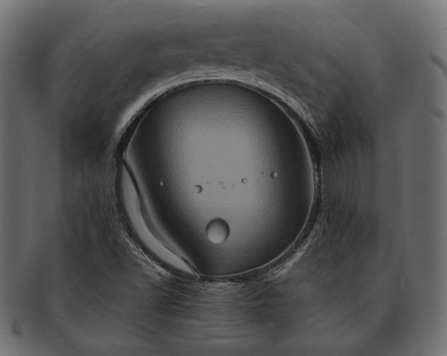 X0000091711502200709071400