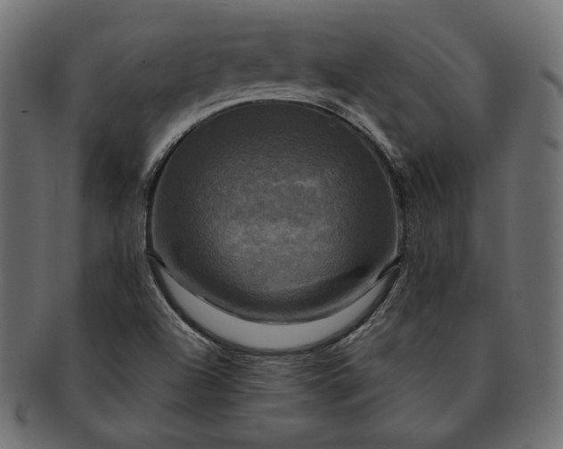 X0000091711504200709071400