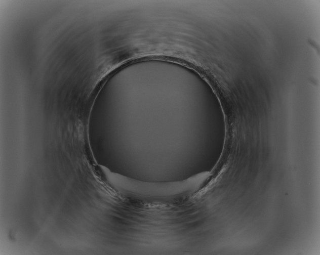 X0000091711505200709071400