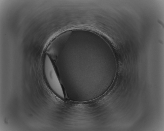 X0000091711506200709071400