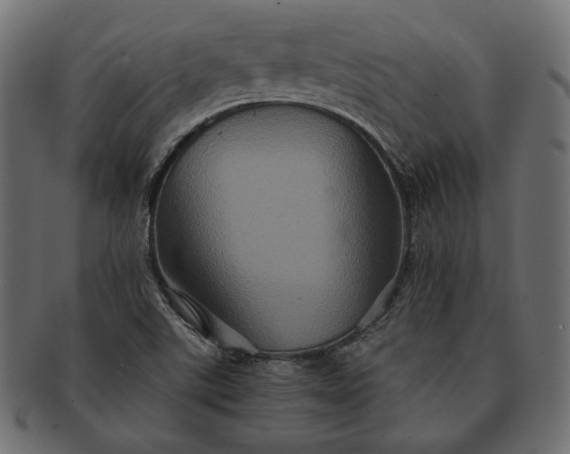 X0000091711507200709071400