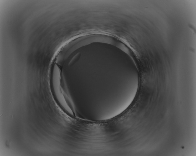 X0000091711508200709071400