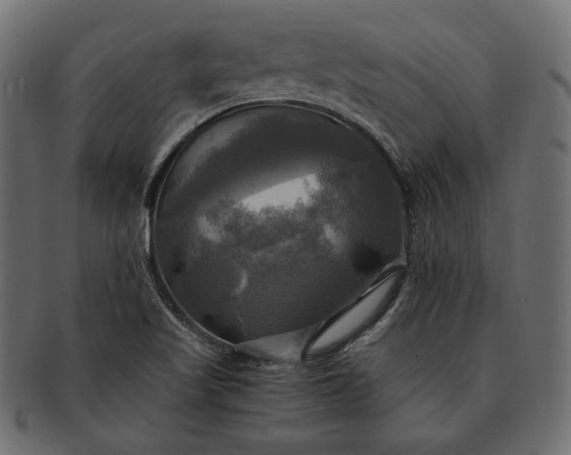 X0000091711509200709071400