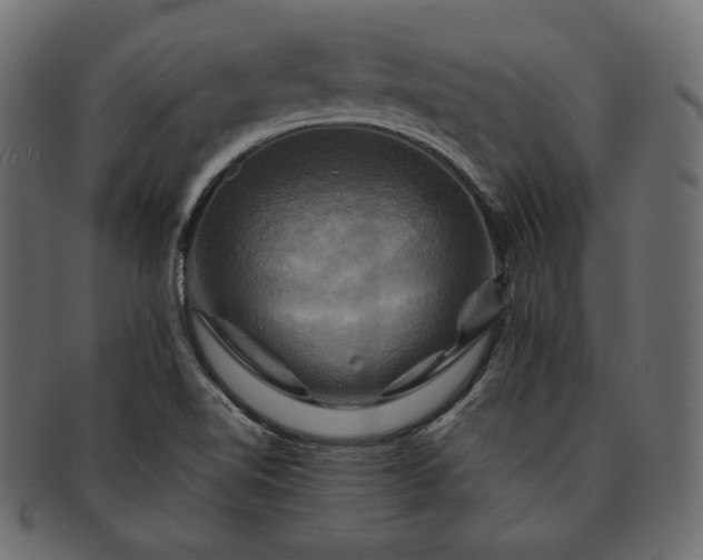 X0000091711510200709071400