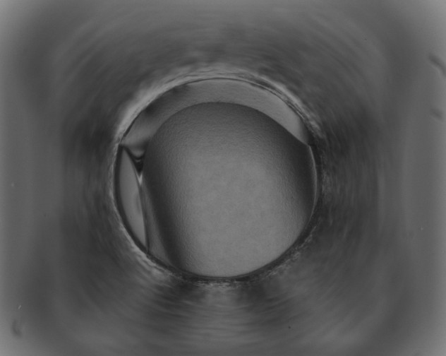 X0000091711512200709071400