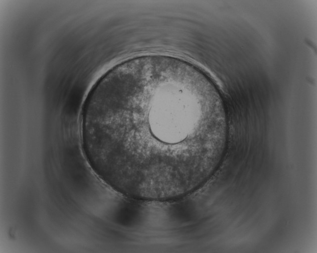 X0000091711514200709071400