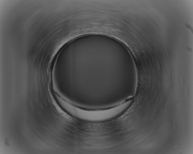 X0000091711515200709071400