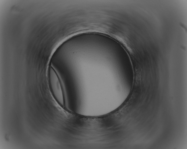 X0000091711516200709071400