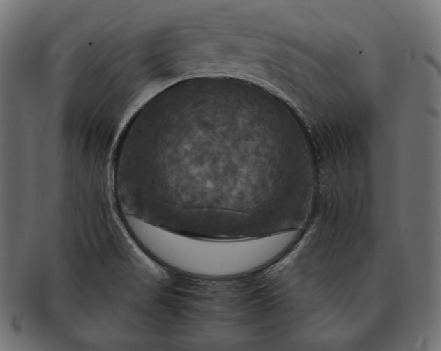 X0000091711517200709071400