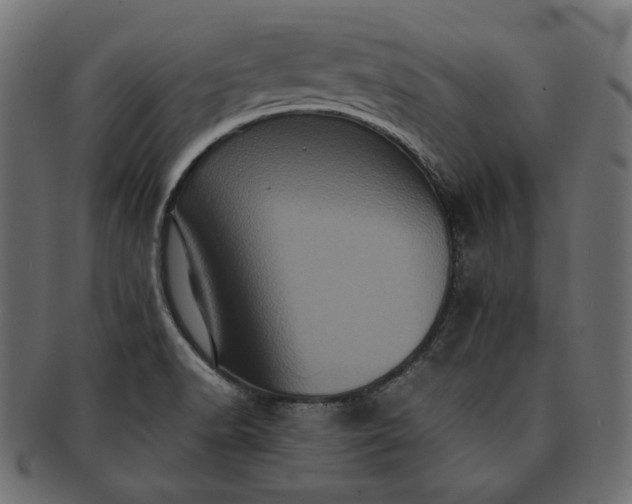 X0000091711518200709071400