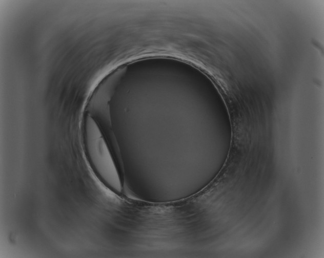 X0000091711519200709071400