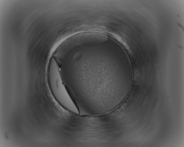 X0000091711520200709071400