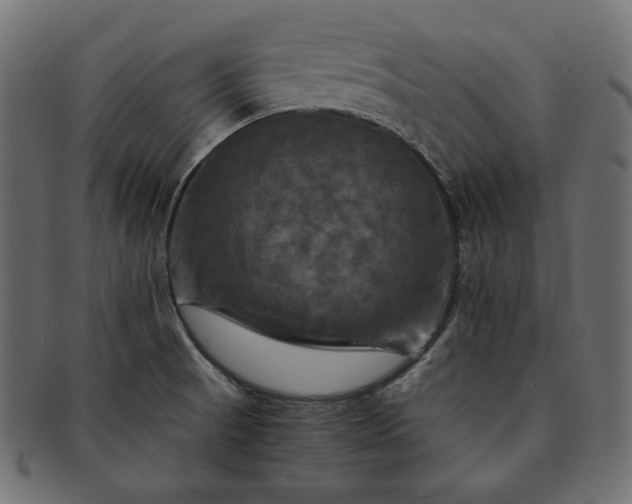 X0000091711521200709071400