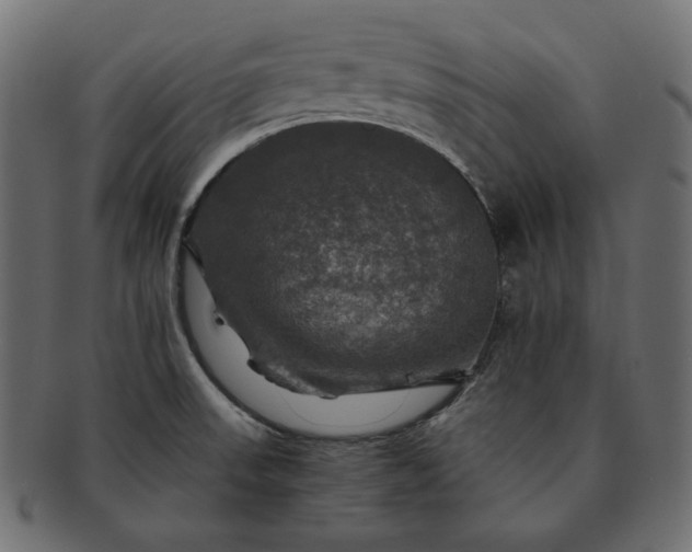 X0000091711523200709071401