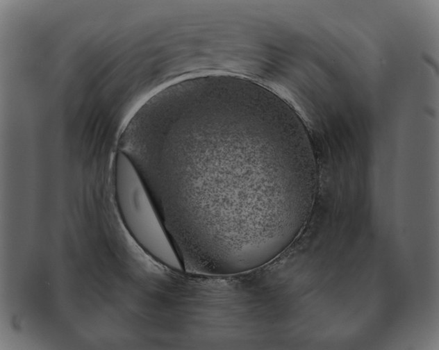 X0000091711524200709071401